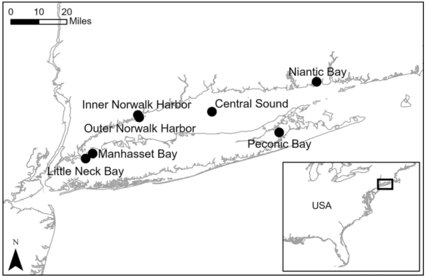 Long Island Sound Horseshoe Crab Study